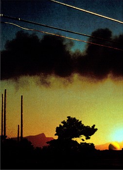 los alamos