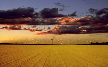 route